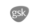 gsk - logo de cliente/empresa parceira